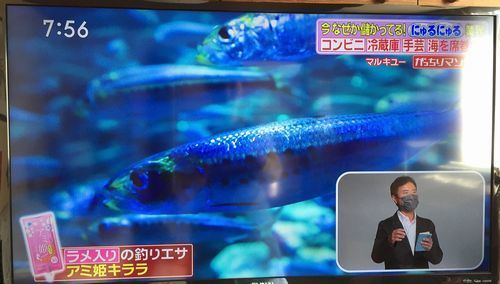 アミ姫キララ　魚500.jpg