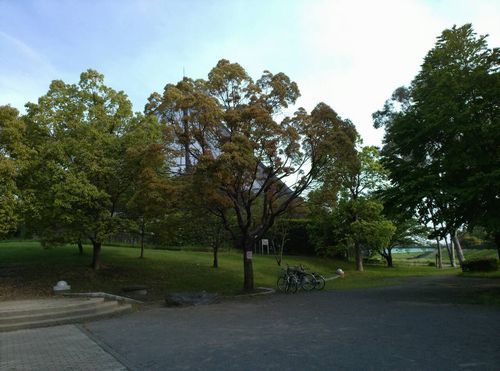 野鳥の森公園.jpg