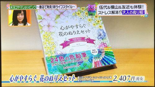 20171116ヒルナンデス2 500.jpg