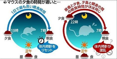 夕食の時間が遅いと.jpg