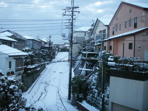2010雪景色.jpg