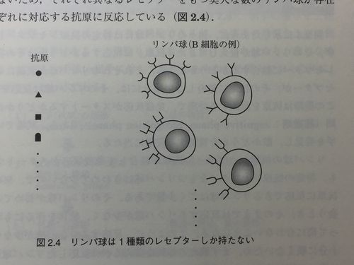 レセプター500.jpg