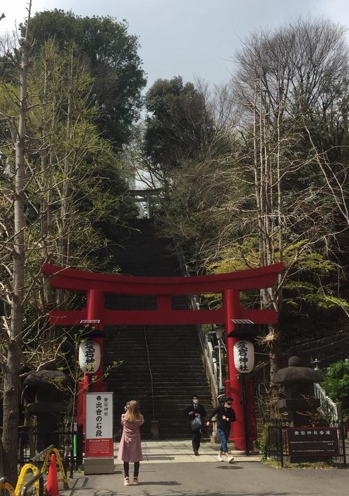 202204愛宕神社出世の石段500.jpg