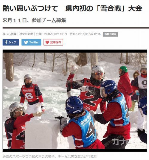 神奈川新聞20160128雪合戦500.jpg