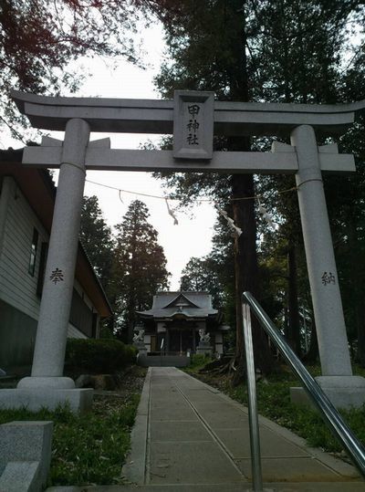 甲神社鳥居.jpg