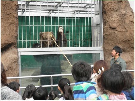 東武カード　ナイトZOO.jpg