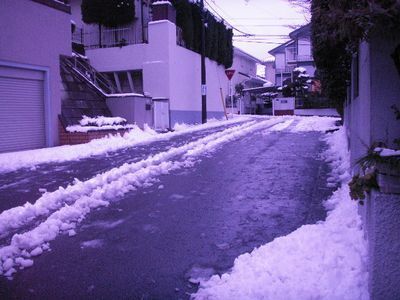 雪かき後.jpg