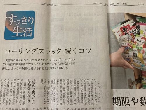 20210227 日本経済新聞「NIKKEIプラス1」 500.jpg