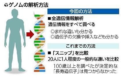 ゲノムの解析方法.jpg